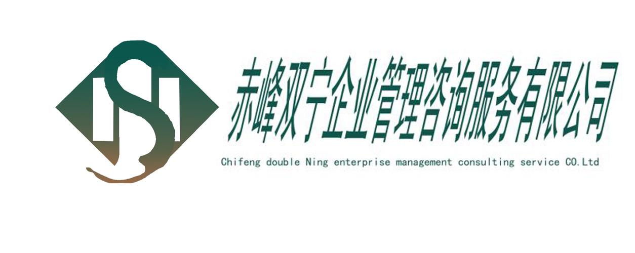 企业管理服务 专业服务机构的核心产品与价值赋能