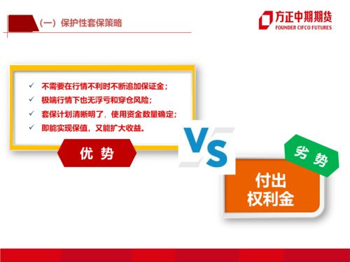 期权在企业风险管理中的应用